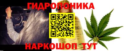 стаф Краснодар