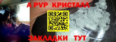 стаф Краснодар