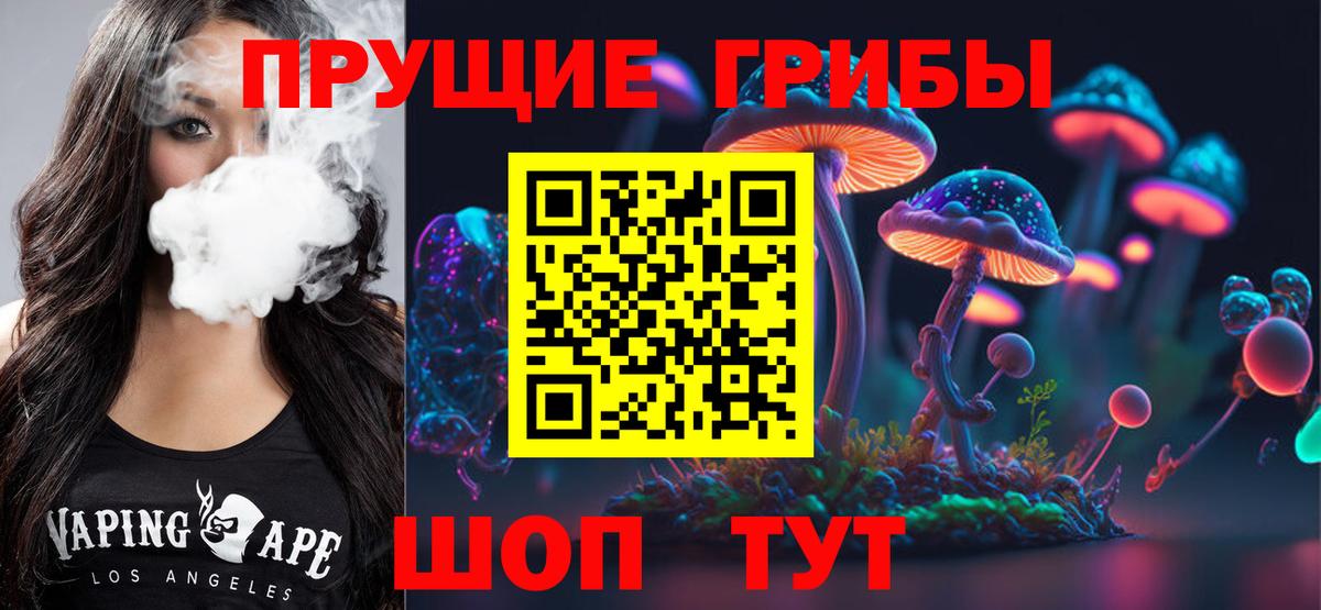 Псилоцибиновые грибы Psilocybine cubensis Зима