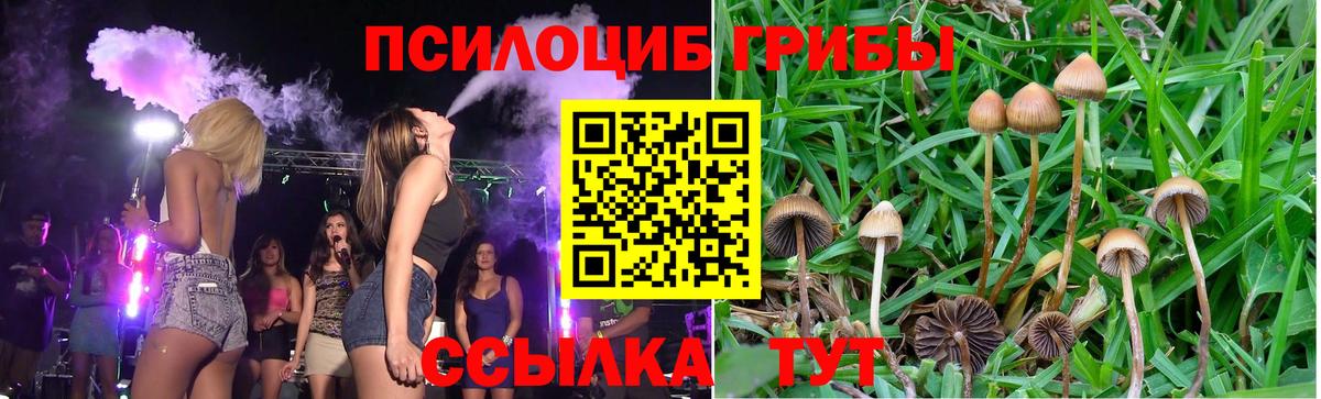 Зима  Псилоцибиновые грибы Psilocybine cubensis  Вход с VPN  продажа наркотиков  Псилоцибиновые грибы GOLDEN TEACHER 