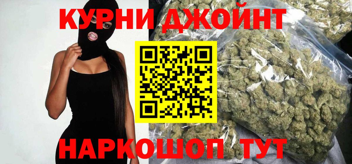 Каннабис сатива Зима
